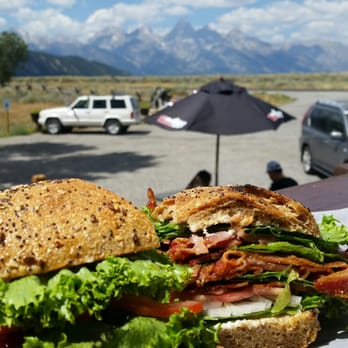 Jackson Hole Bike Rental Delivery Teton Valley Bicycle Grand Teton National Park