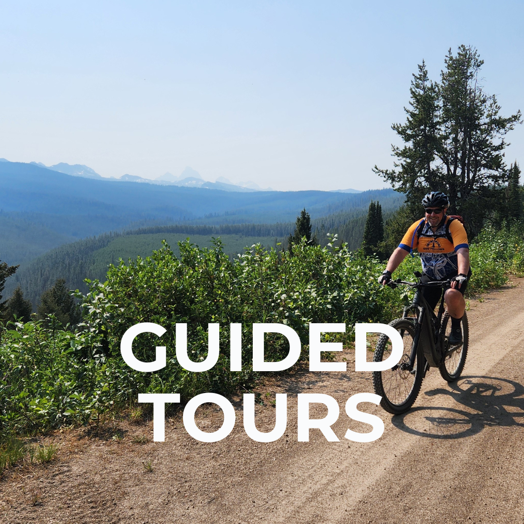 guided bike tours jackson hole wy teton valley id