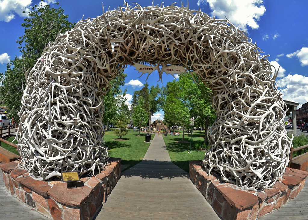 antler arches