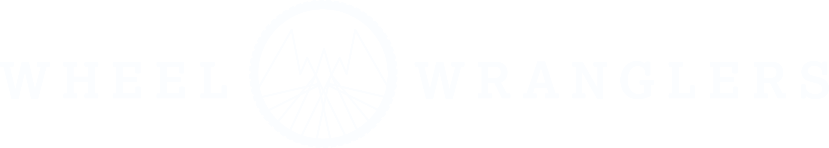bike rentals jackson hole Wheel Wranglers