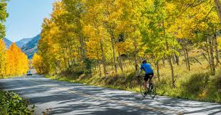 fall biking bicycle rental bike rentals jackson wy jackson hole tetons mtb mountain bike teton valley id victor driggs idaho mtn bike bike rentals 8