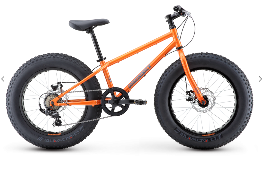 Demo fat discount bikes for sale